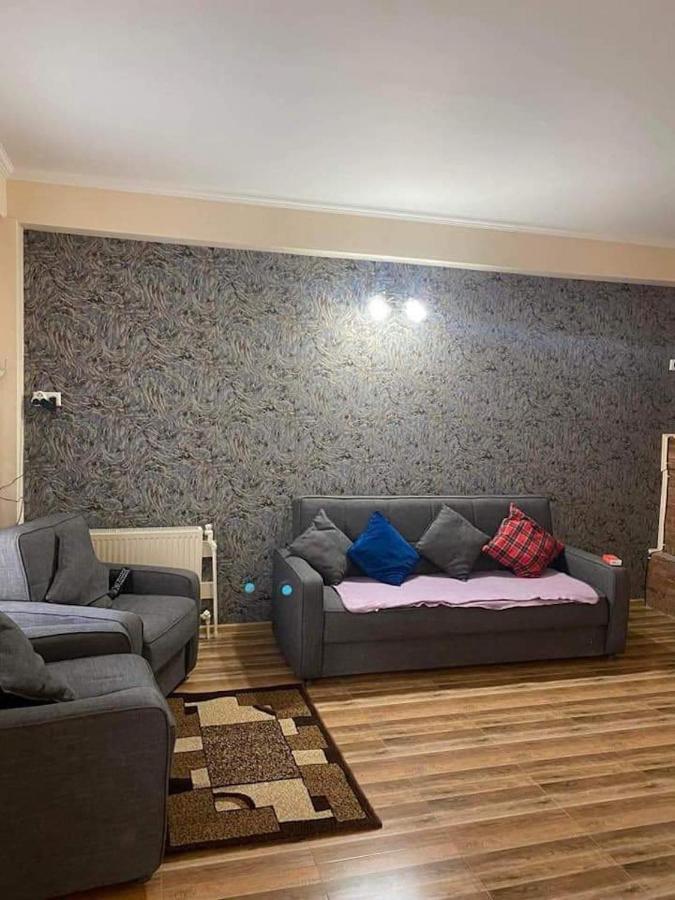 Bakuriani Resort Cottage 1 Storey エクステリア 写真